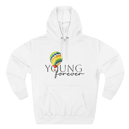 Sky Journey Balloon Three-Panel Fleece Hoodie - snazzymerch