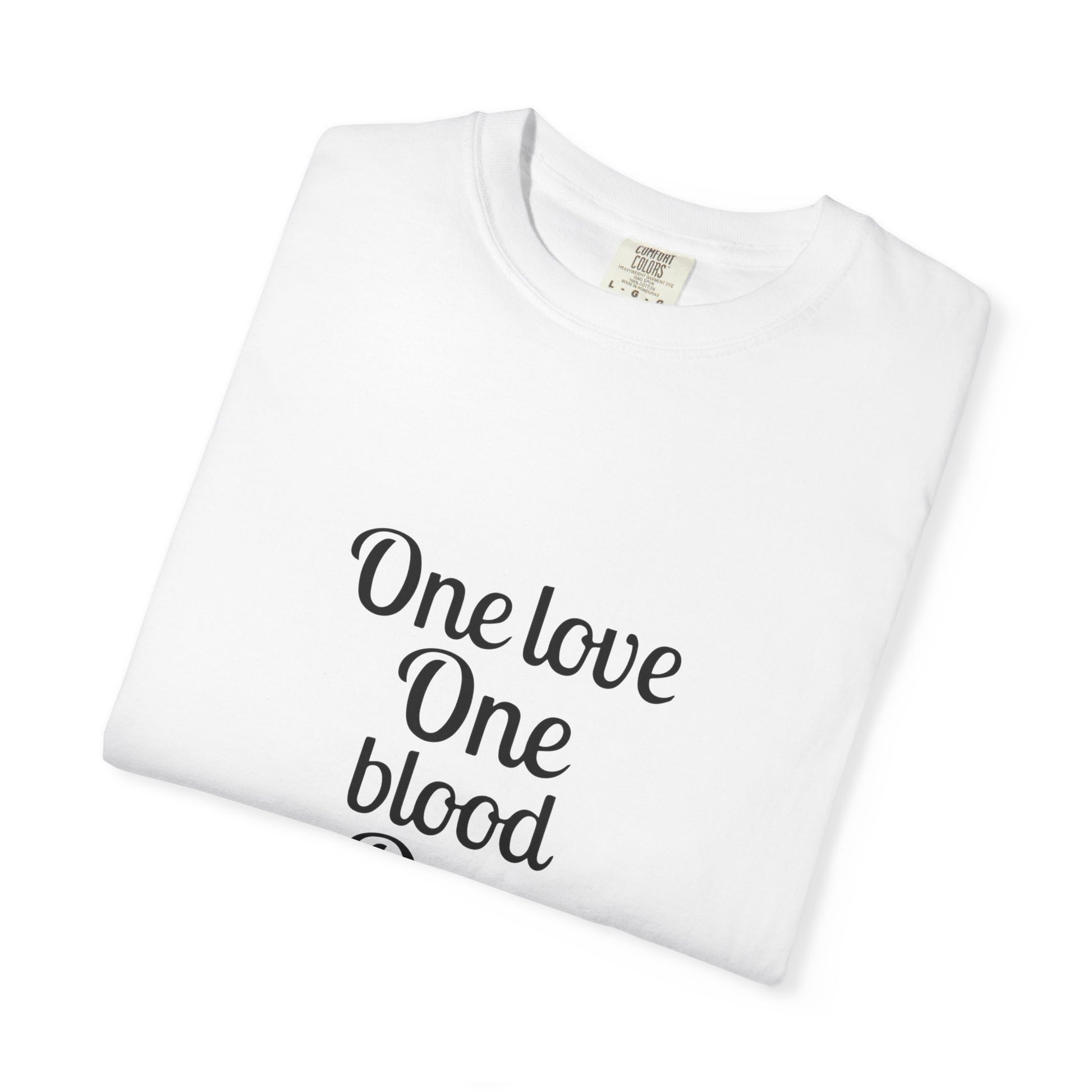 Tour-Inspired Circle Unisex Garment-Dyed T-shirt - snazzymerch