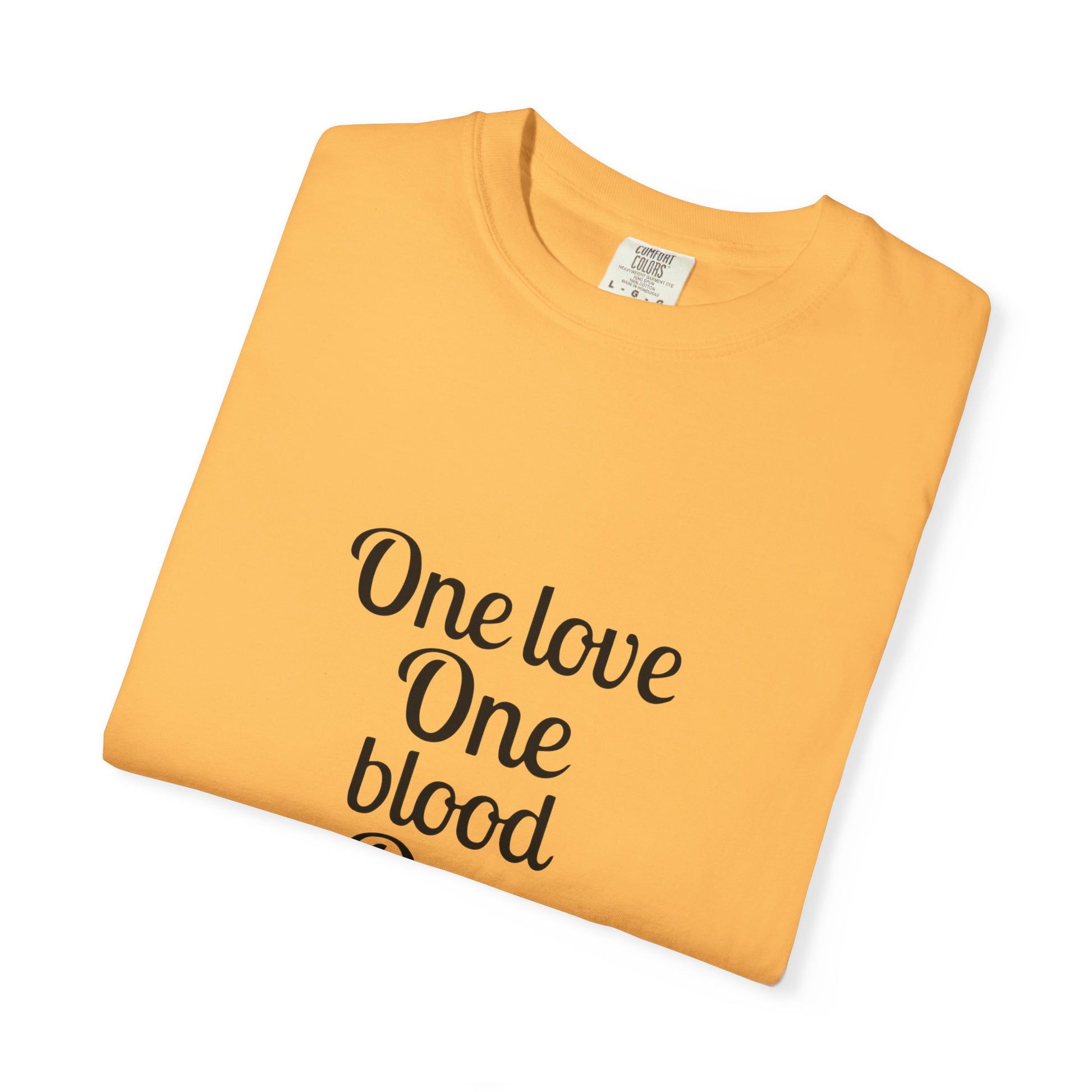 Tour-Inspired Circle Unisex Garment-Dyed T-shirt - snazzymerch