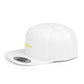Solar Power Retro Flat Bill Snapback - snazzymerch